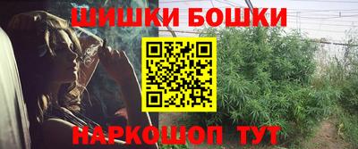 МДПВ Новоалтайск