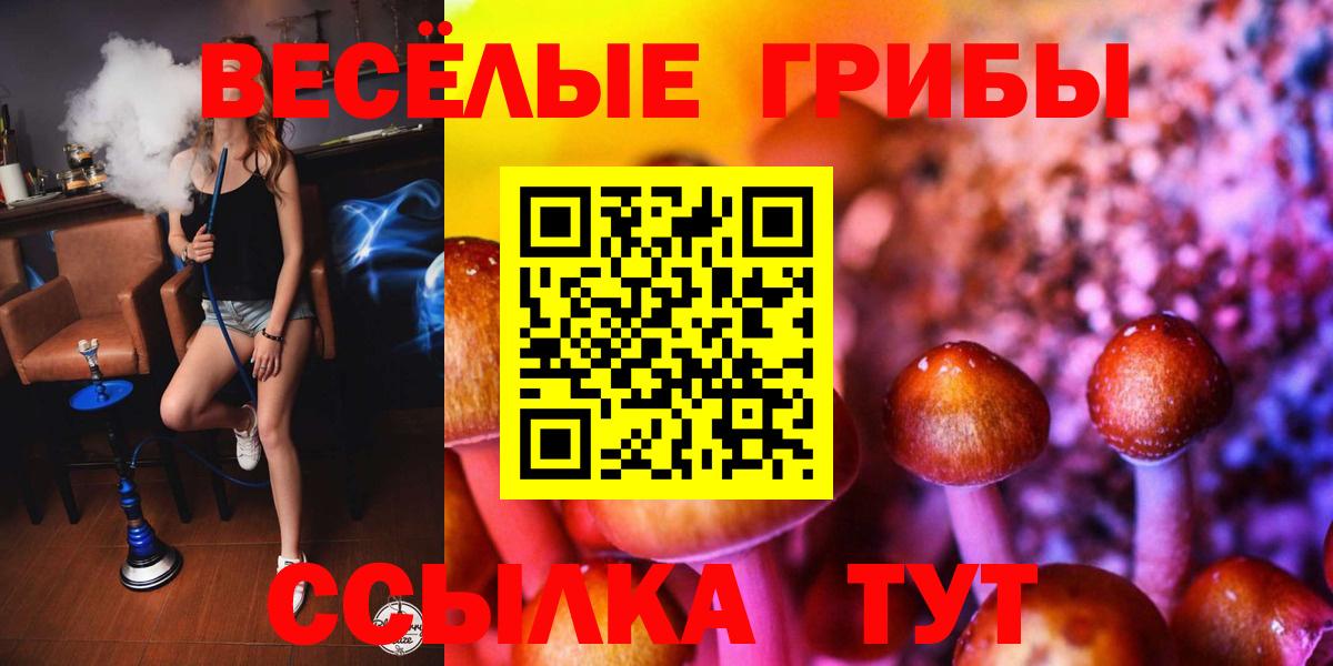 Барнаул  Галлюциногенные грибы Magic Shrooms  купить наркотик  Вход с VPN 