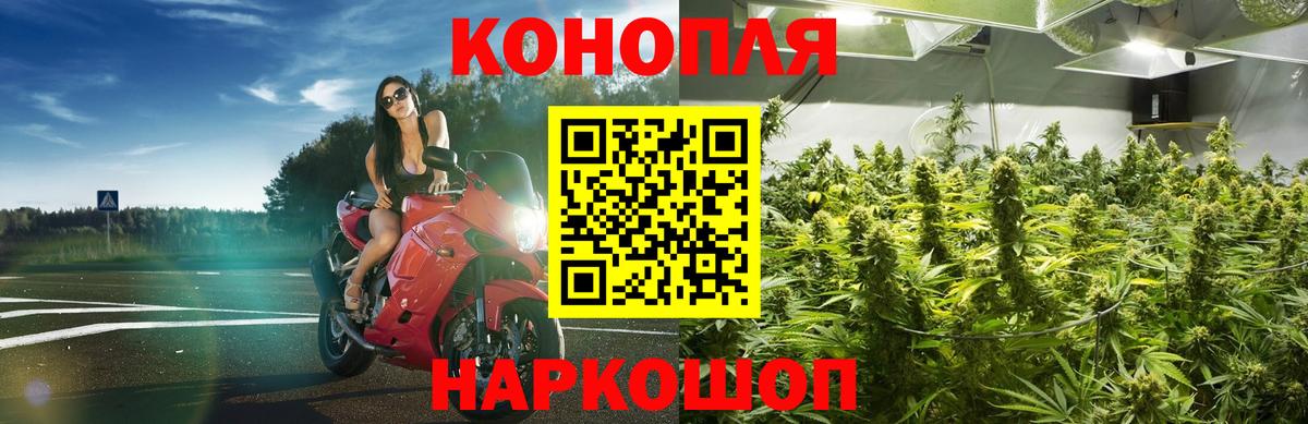Бошки марихуана AK-47  Марихуана тримм  Барнаул  Вход с VPN  Конопля конопля  Каннабис LSD WEED 